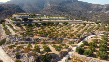 PAIL6157 – Investment land in Pahia Ammos, Ierapetra