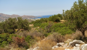 ANBP1309 – 4050m² Building plot in Rousa limni, Agios Nikolaos